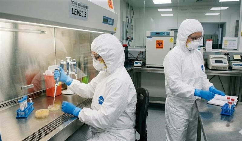 Placas de agar con cultivos microbiológicos en el laboratorio